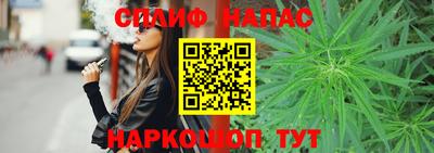 соль ск Партизанск